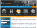 steadyrise.net
