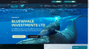 bluewhaleinv.com