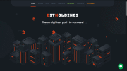 bitholdings.biz